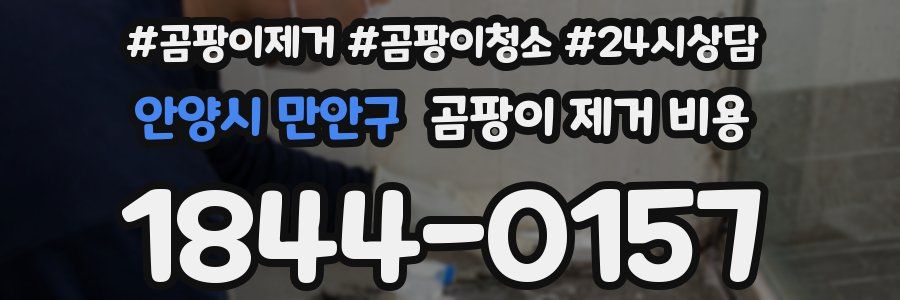 안양시 만안구 곰팡이 제거 비용