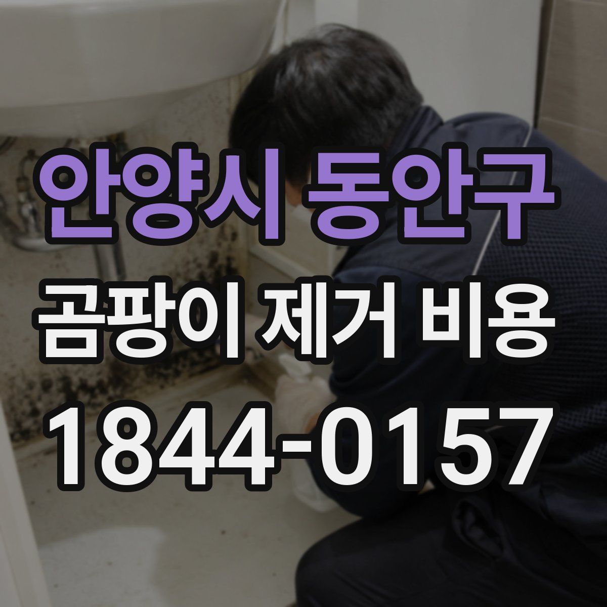 안양시 동안구 곰팡이 제거 비용