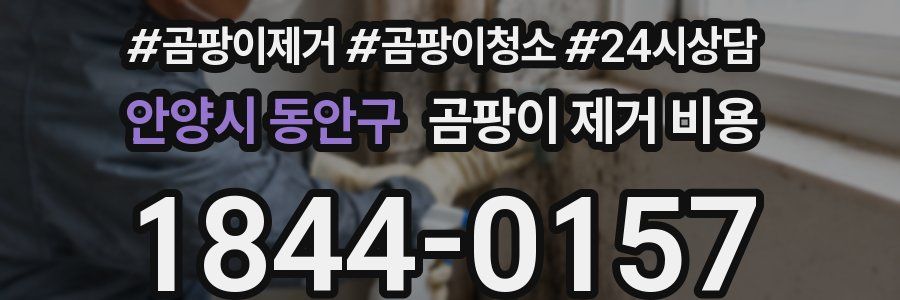 안양시 동안구 곰팡이 제거 비용