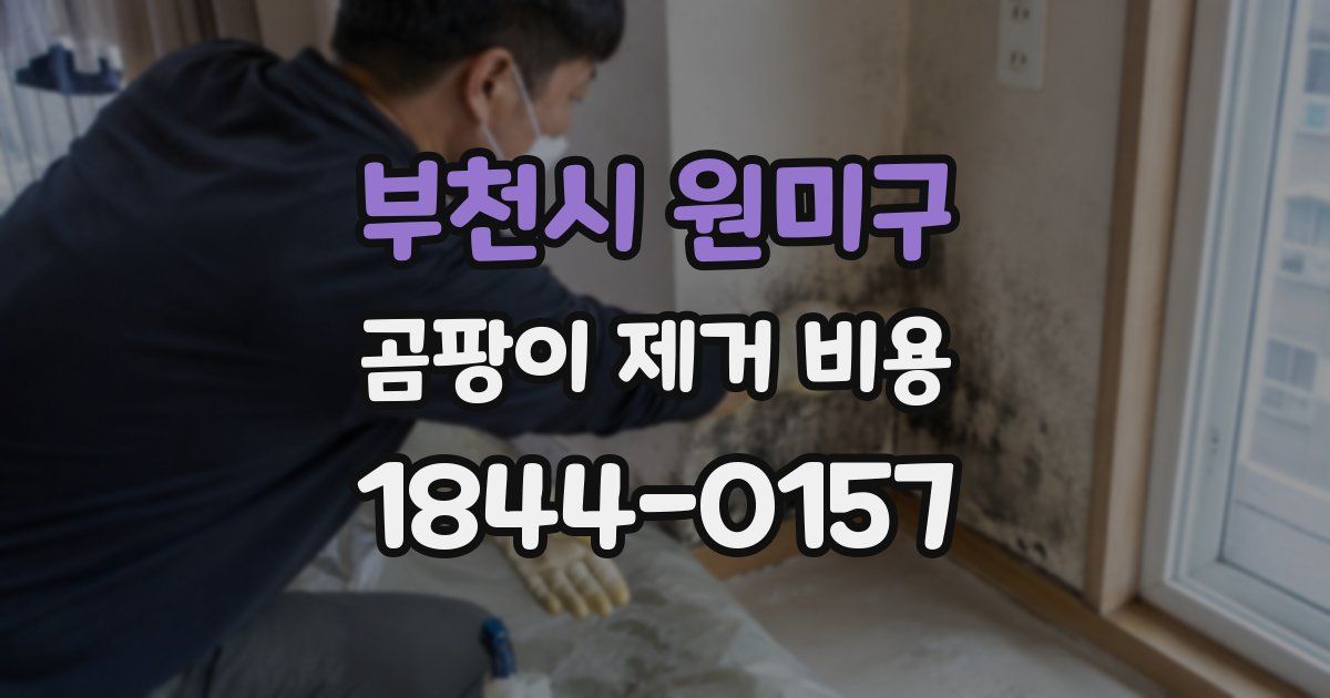 부천시 원미구 곰팡이 제거 비용