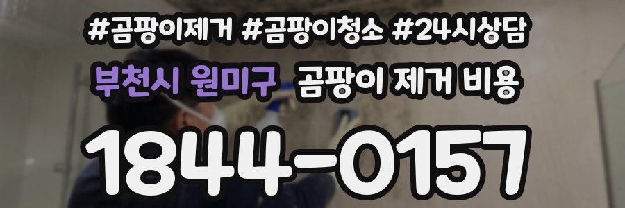부천시 원미구 곰팡이 제거 비용