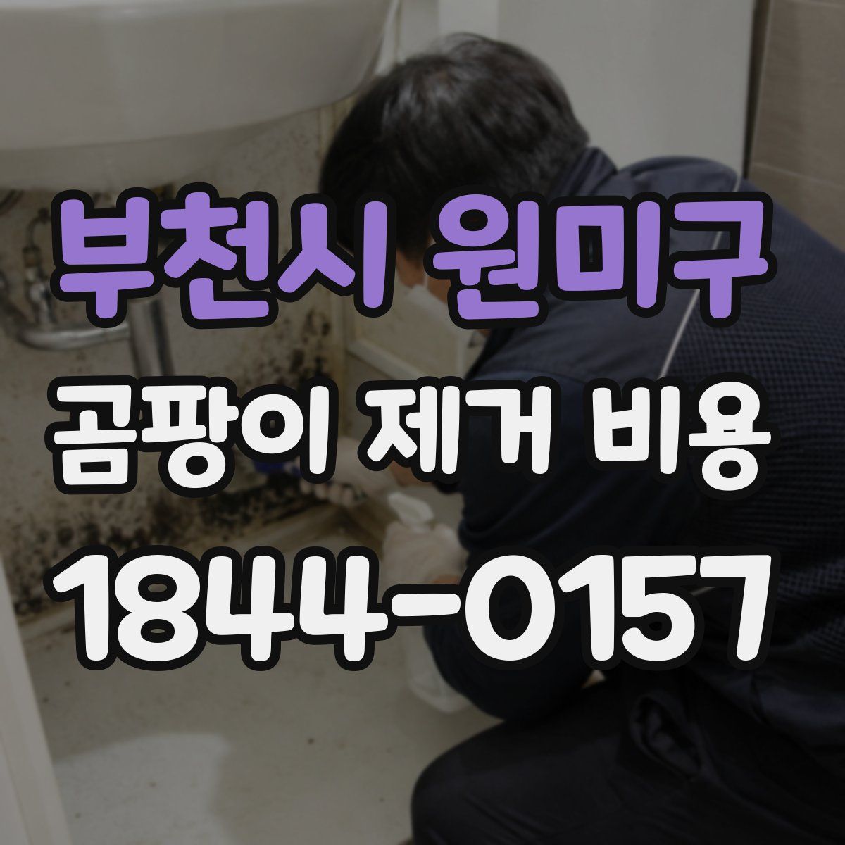 부천시 원미구 곰팡이 제거 비용
