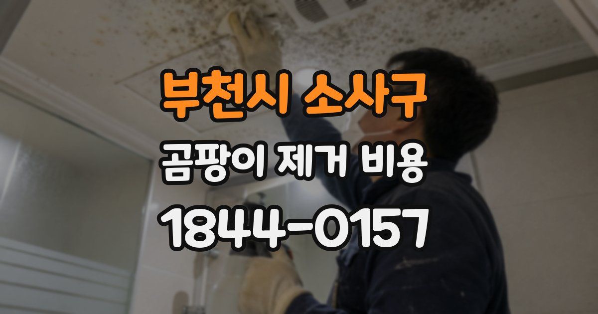 부천시 소사구 곰팡이 제거 비용