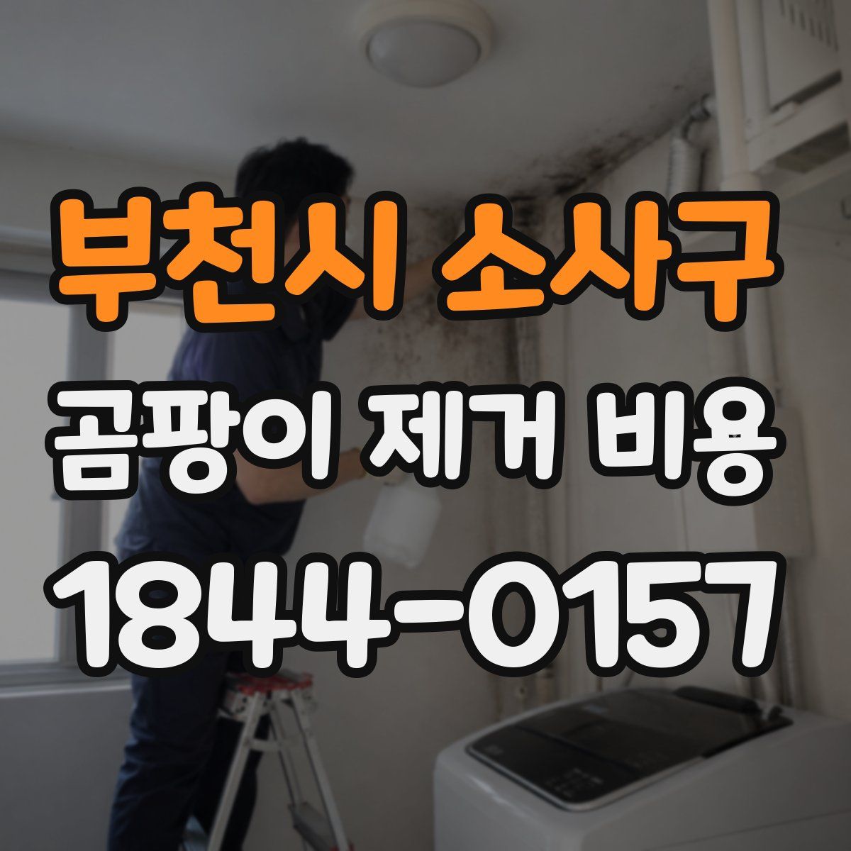 부천시 소사구 곰팡이 제거 비용