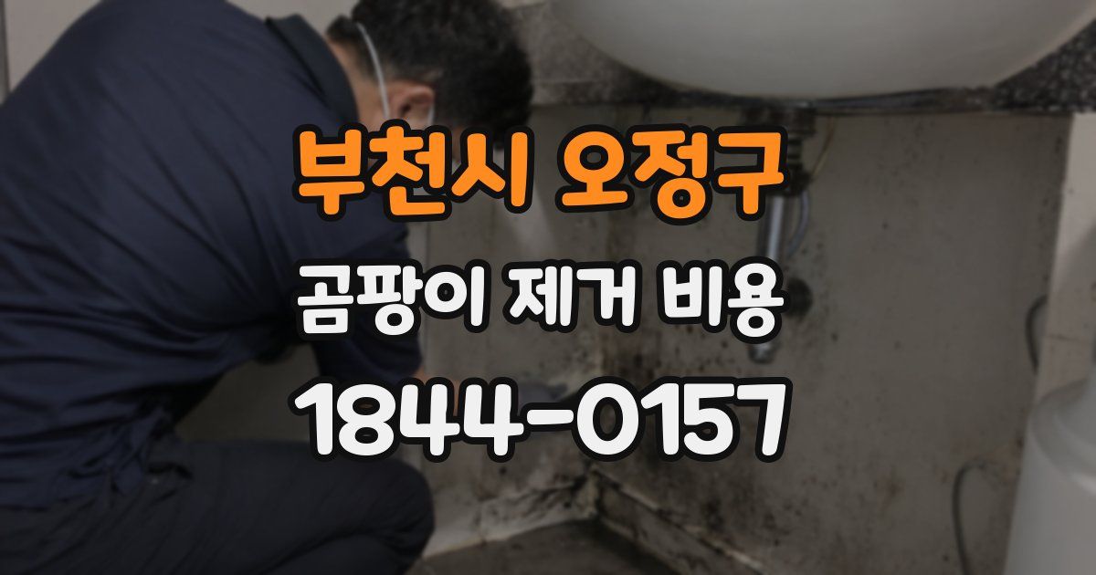 부천시 오정구 곰팡이 제거 비용