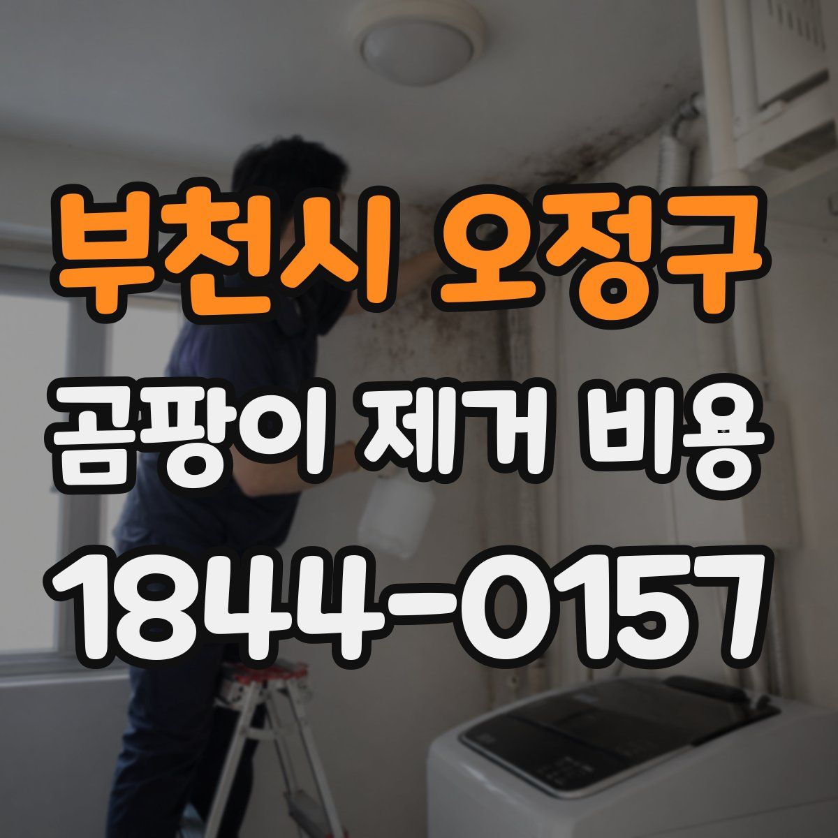 부천시 오정구 곰팡이 제거 비용