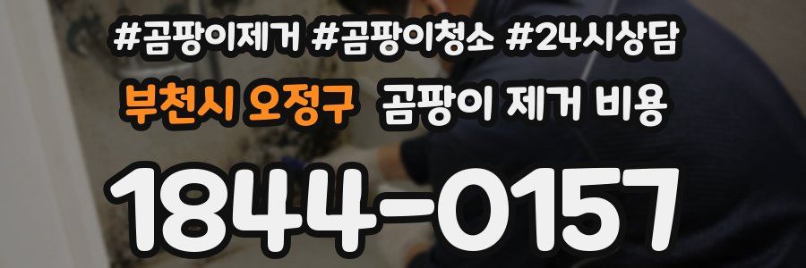부천시 오정구 곰팡이 제거 비용