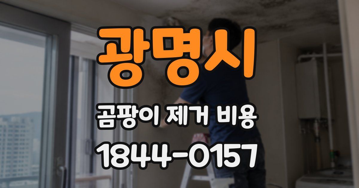 광명시 곰팡이 제거 비용