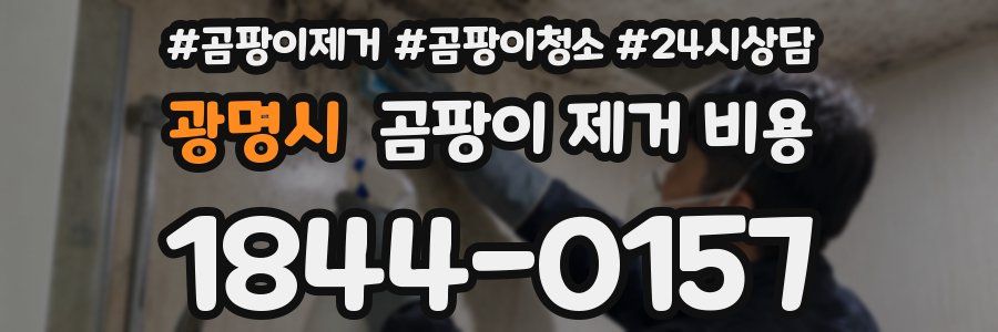 광명시 곰팡이 제거 비용