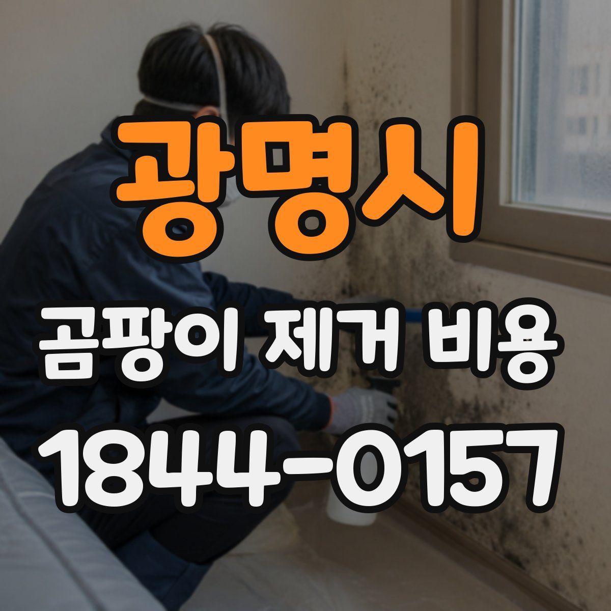 광명시 곰팡이 제거 비용