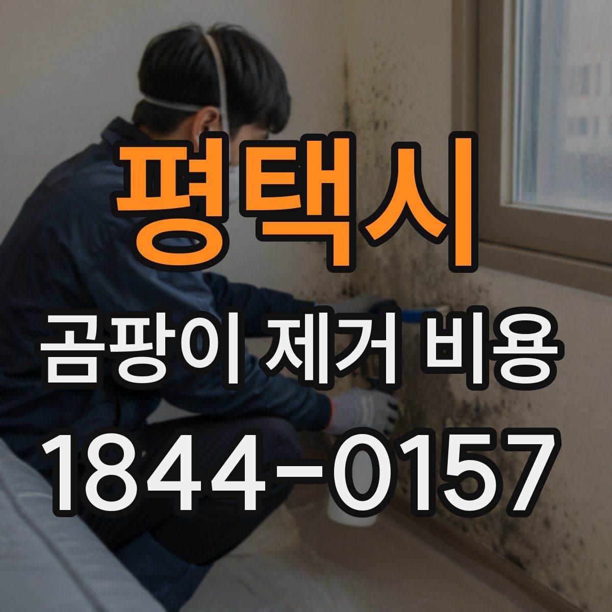 평택시 곰팡이 제거 비용