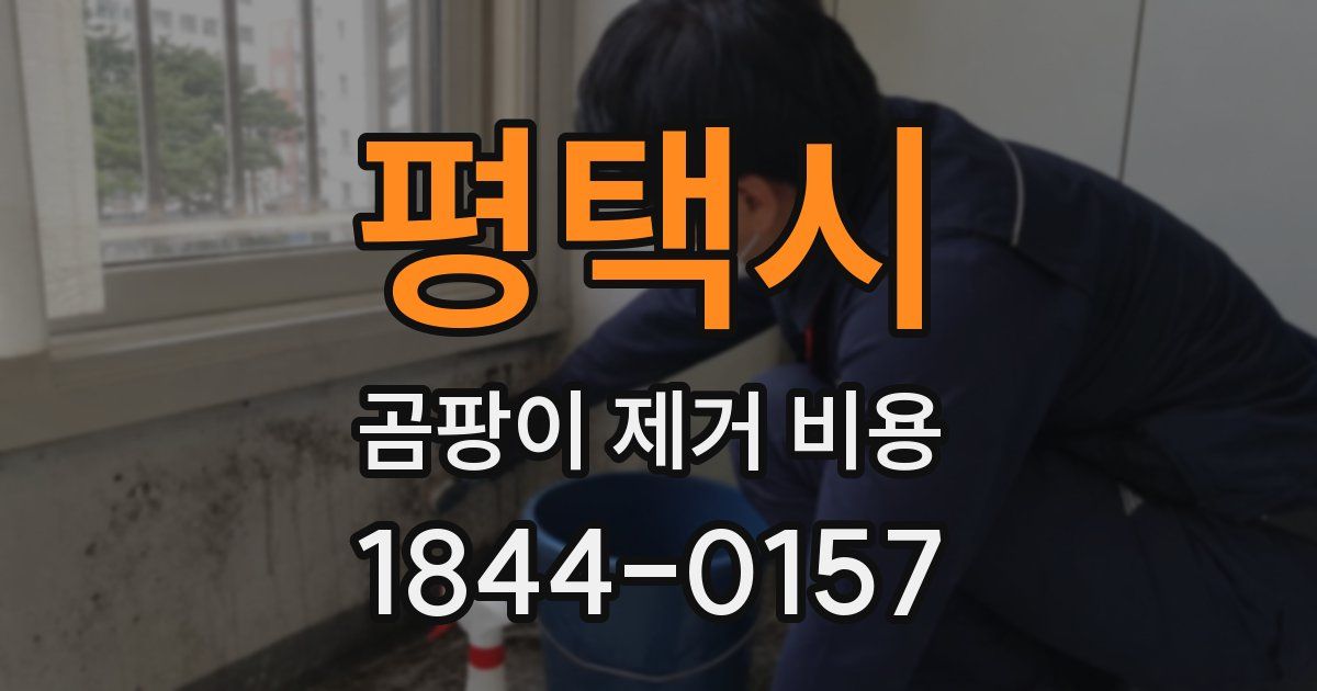 평택시 곰팡이 제거 비용