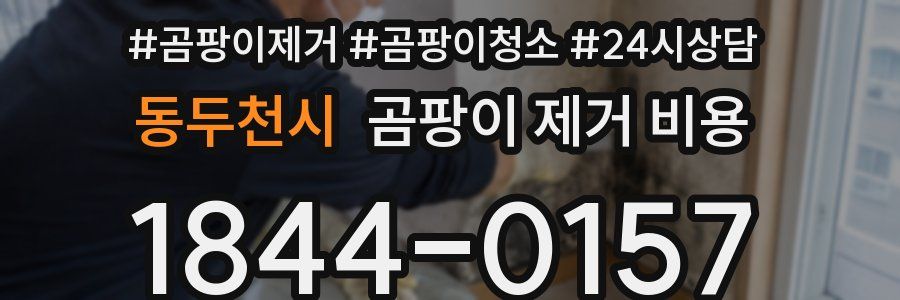 동두천시 곰팡이 제거 비용