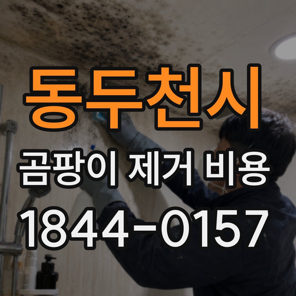 동두천시 곰팡이 제거 비용