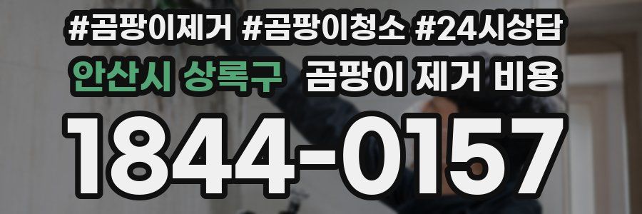 안산시 상록구 곰팡이 제거 비용