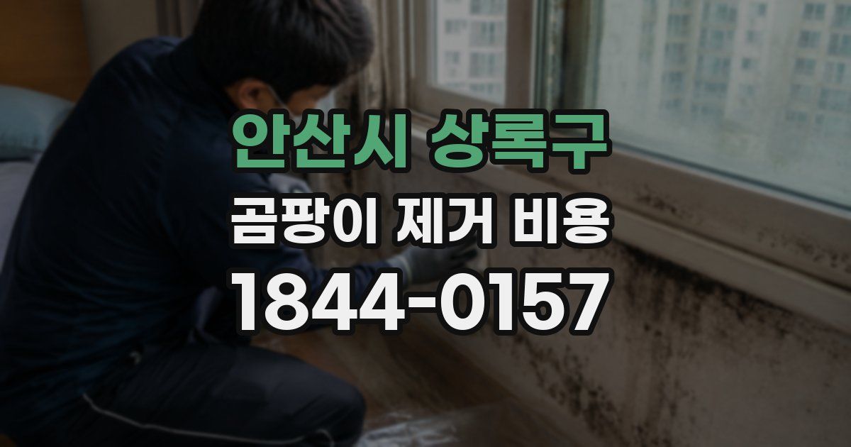 안산시 상록구 곰팡이 제거 비용