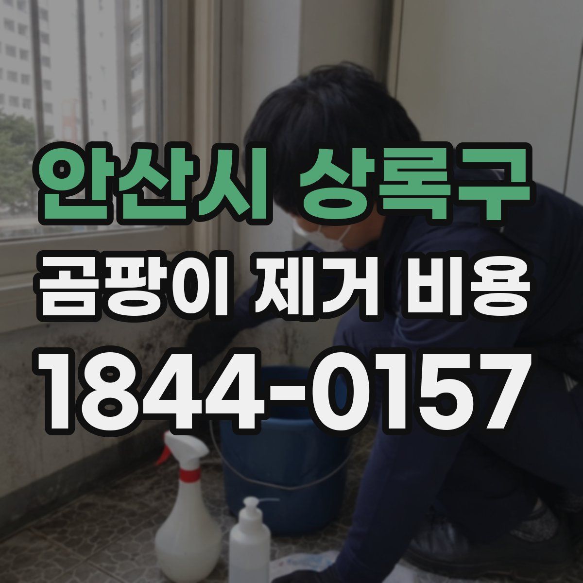 안산시 상록구 곰팡이 제거 비용