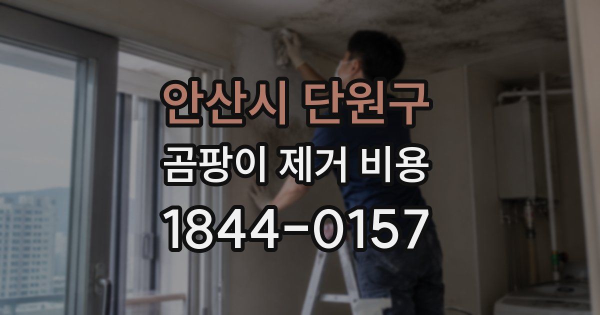 안산시 단원구 곰팡이 제거 비용