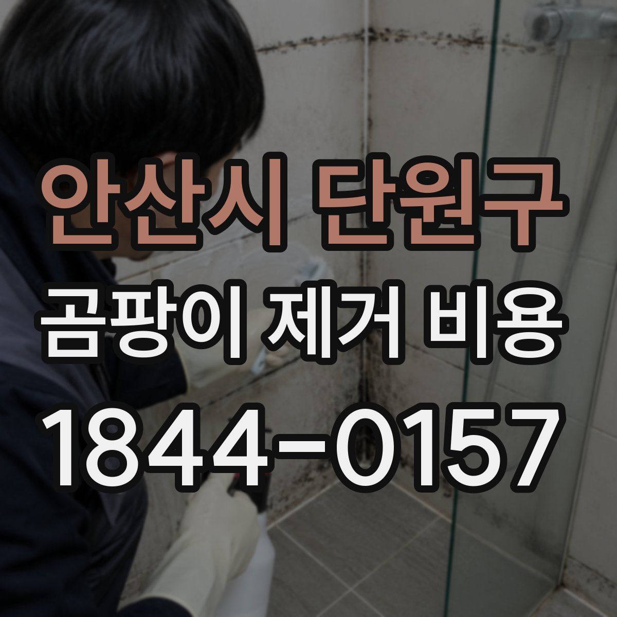 안산시 단원구 곰팡이 제거 비용