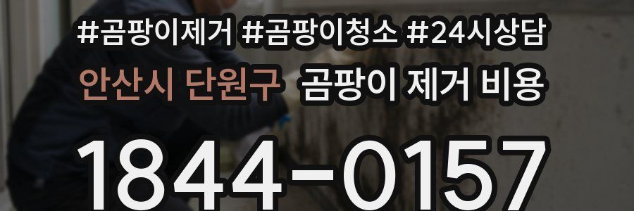 안산시 단원구 곰팡이 제거 비용