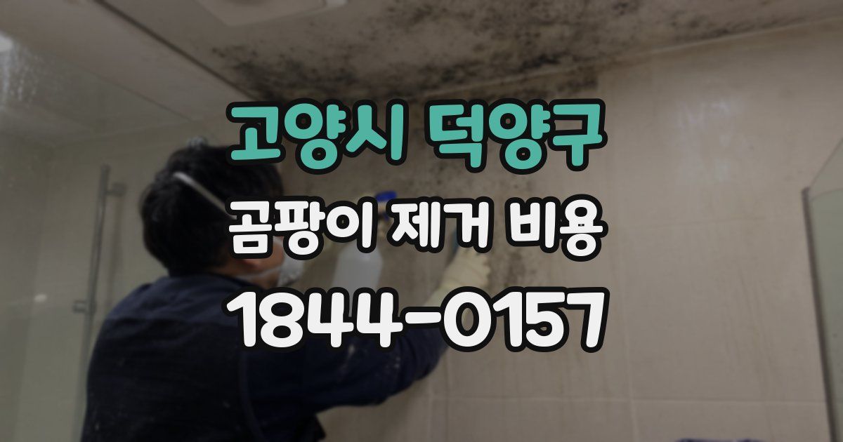 고양시 덕양구 곰팡이 제거 비용