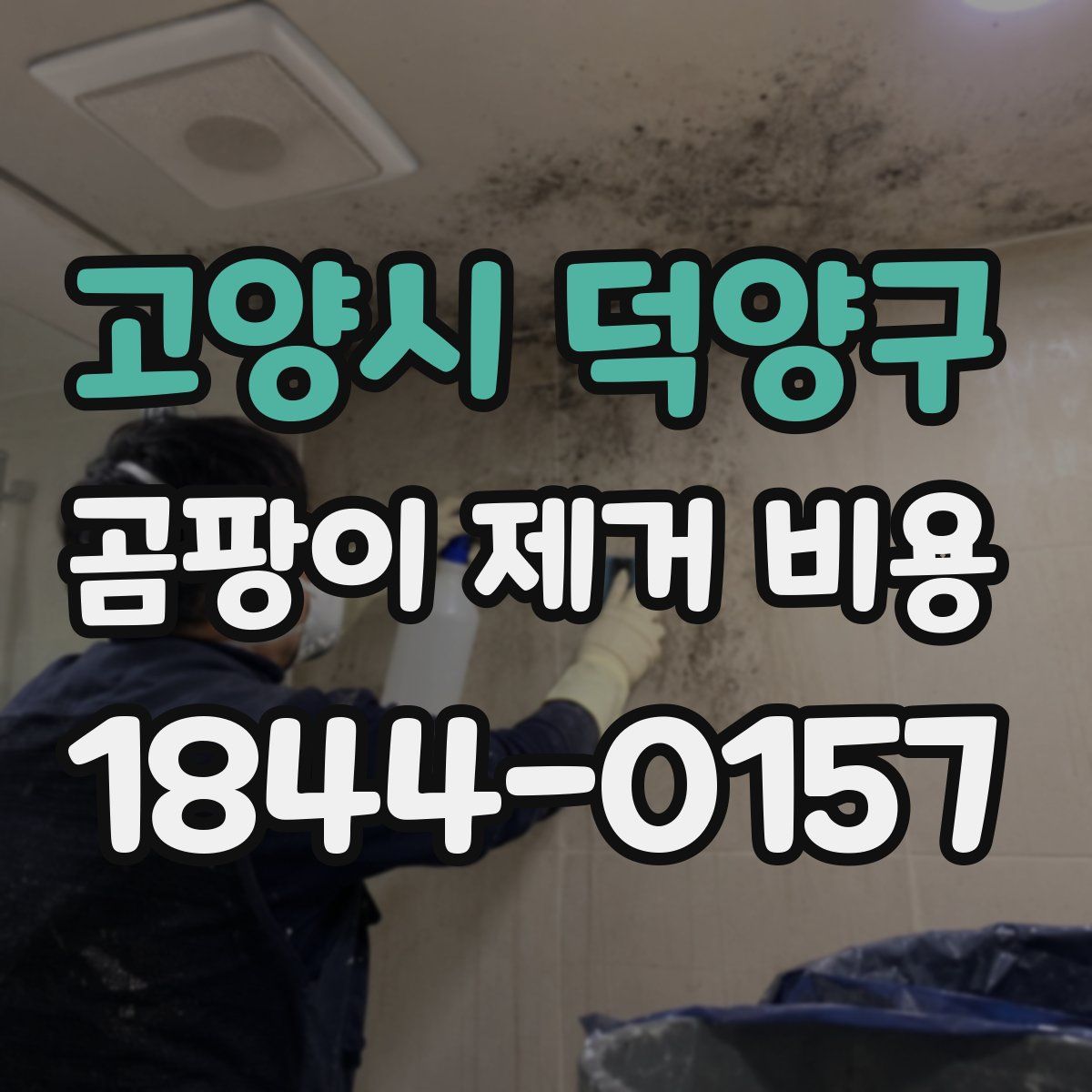 고양시 덕양구 곰팡이 제거 비용