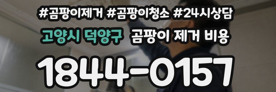 고양시 덕양구 곰팡이 제거 비용