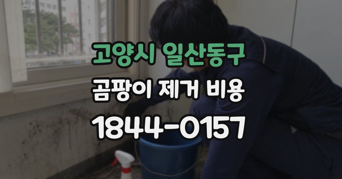 고양시 일산동구 곰팡이 제거 비용