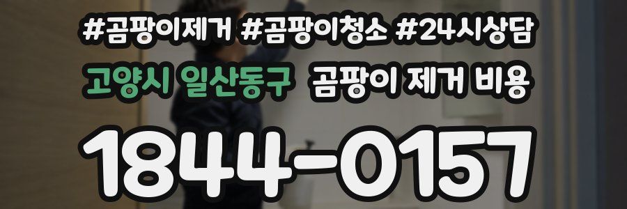 고양시 일산동구 곰팡이 제거 비용