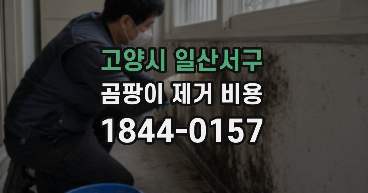 고양시 일산서구 곰팡이 제거 비용