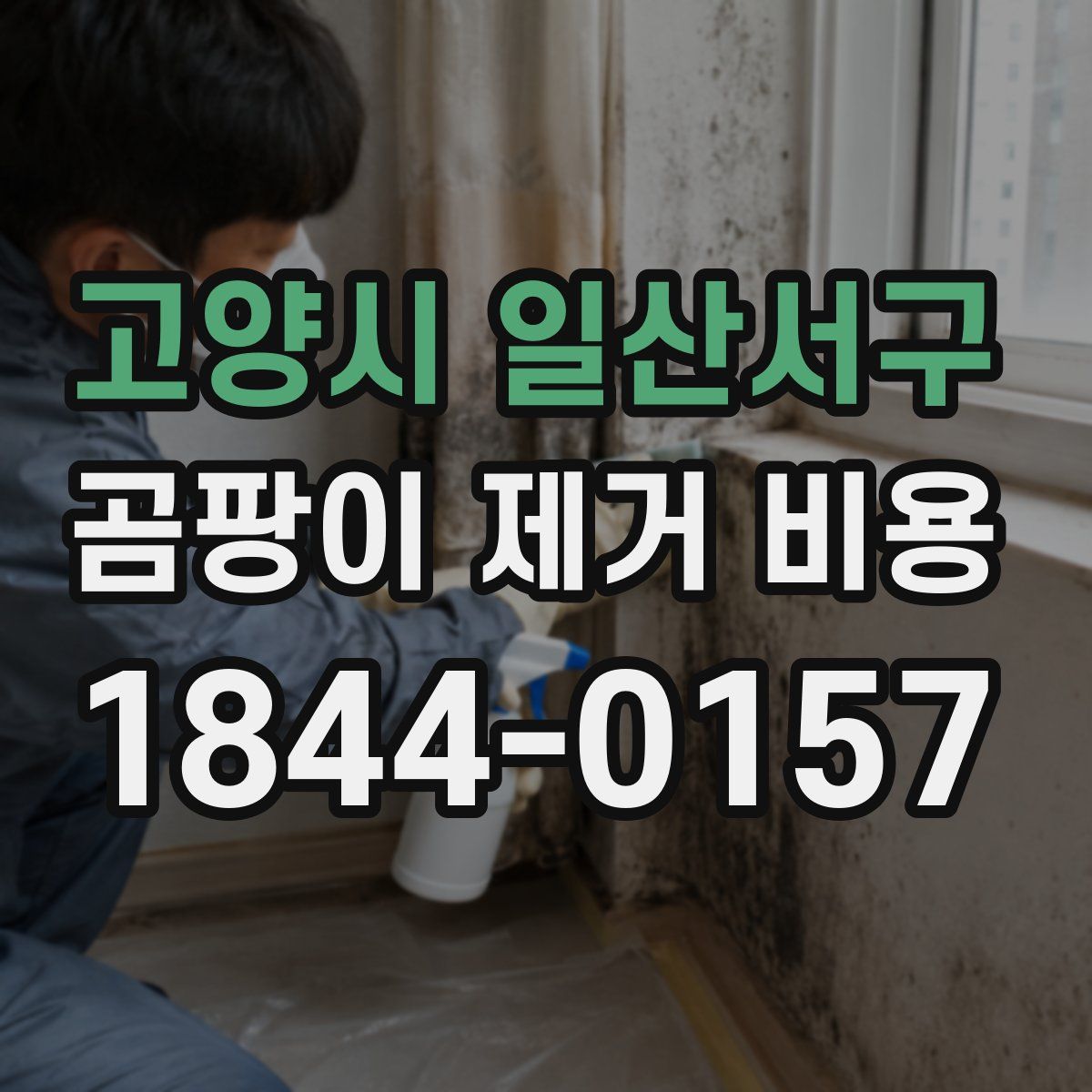 고양시 일산서구 곰팡이 제거 비용