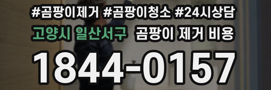 고양시 일산서구 곰팡이 제거 비용