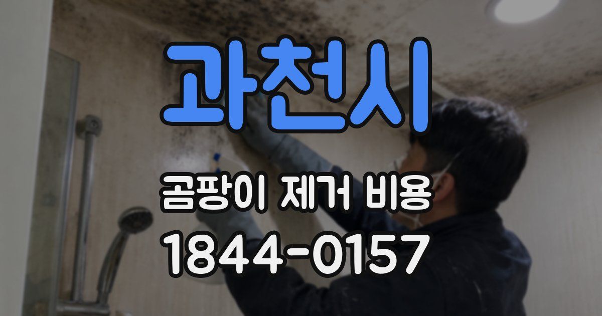 과천시 곰팡이 제거 비용