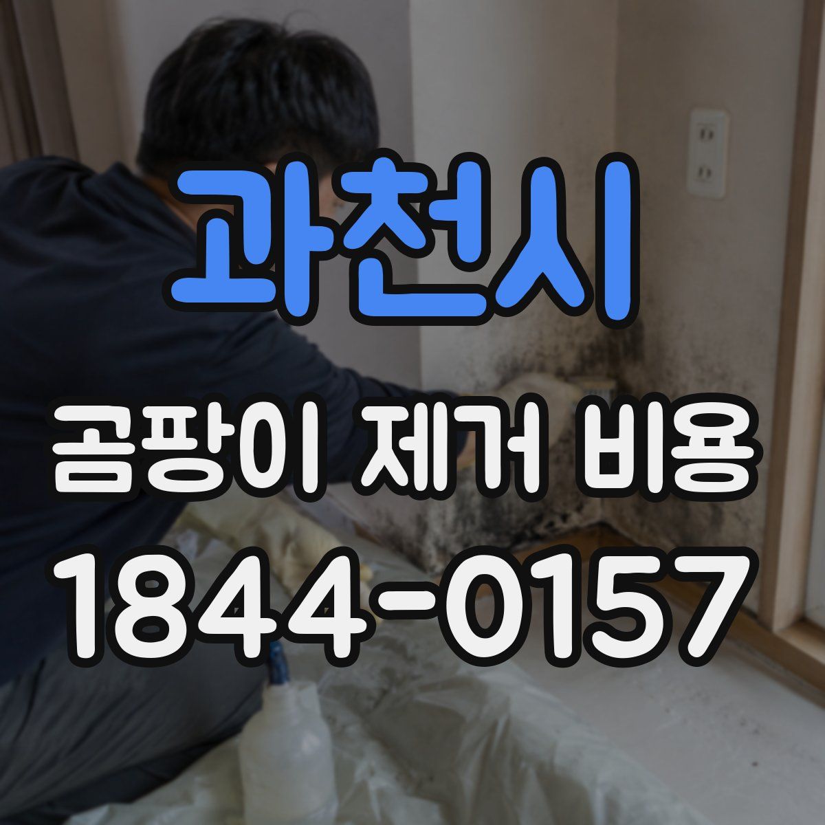 과천시 곰팡이 제거 비용
