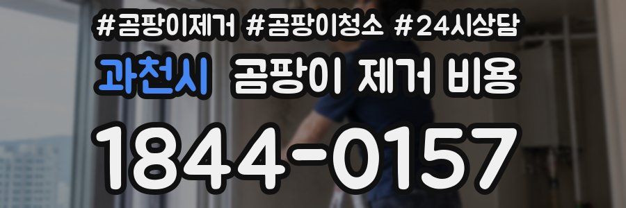 과천시 곰팡이 제거 비용