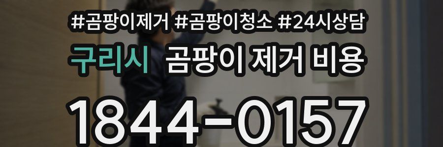 구리시 곰팡이 제거 비용