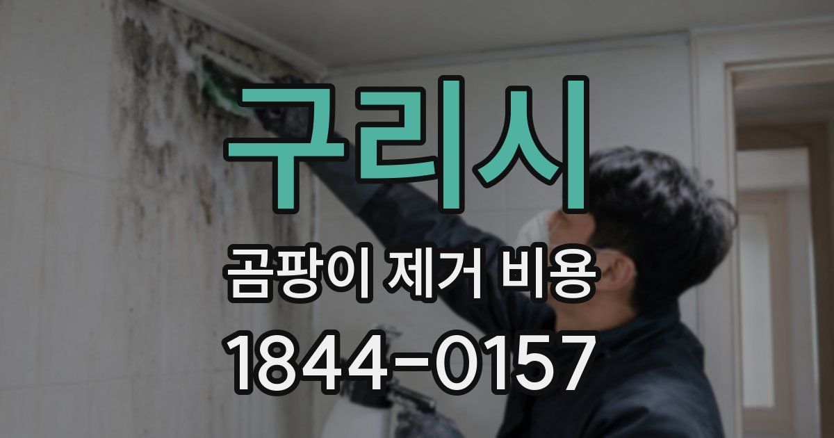 구리시 곰팡이 제거 비용