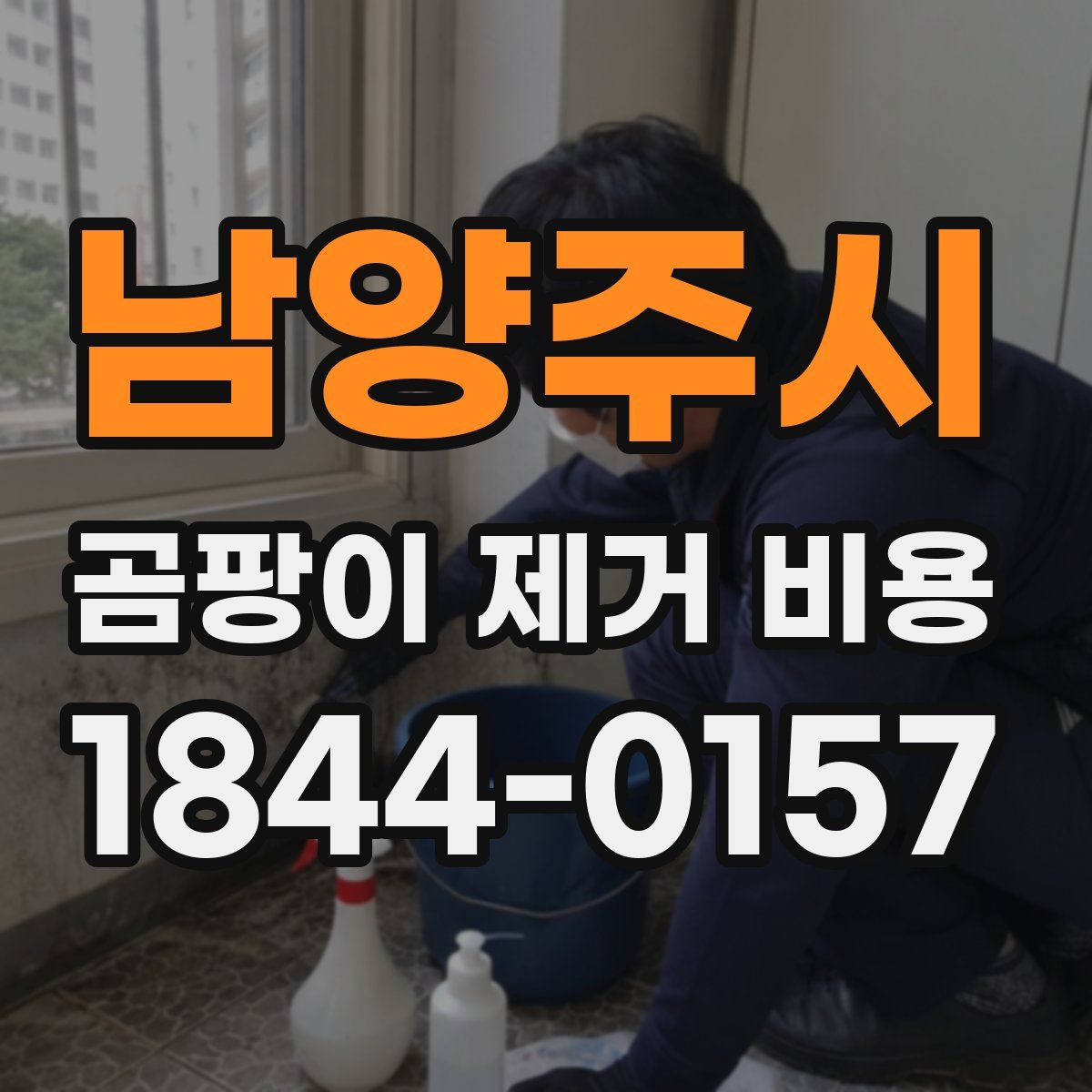 남양주시 곰팡이 제거 비용