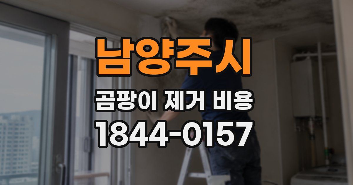남양주시 곰팡이 제거 비용
