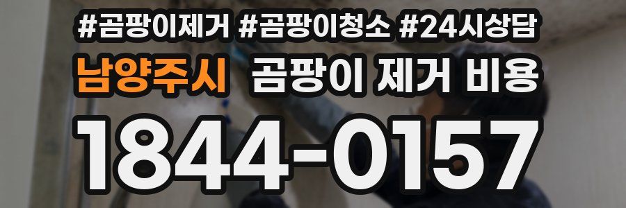 남양주시 곰팡이 제거 비용