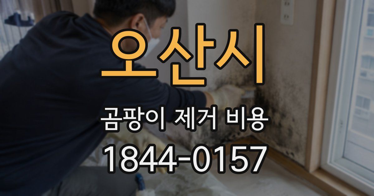 오산시 곰팡이 제거 비용