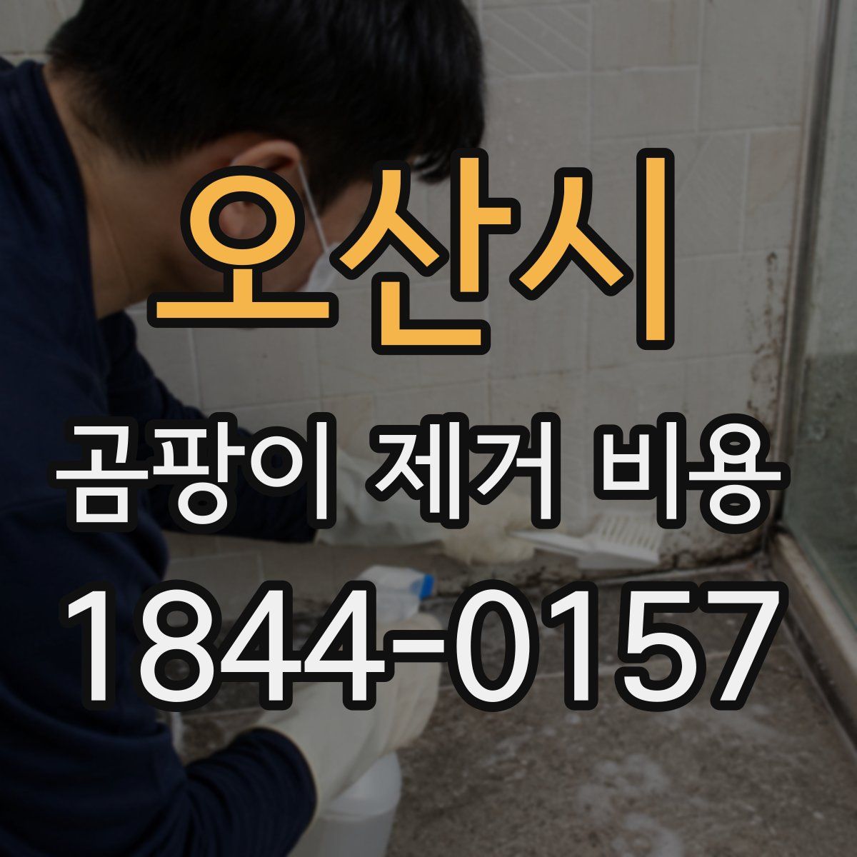 오산시 곰팡이 제거 비용