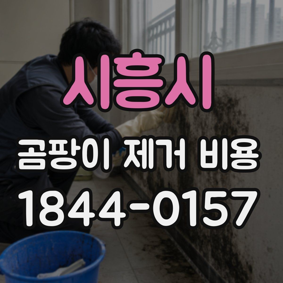 시흥시 곰팡이 제거 비용 다세대 건물 공용부와 세대별 차이 살펴보기