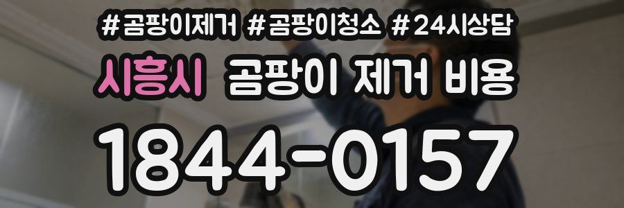 시흥시 곰팡이 제거 비용