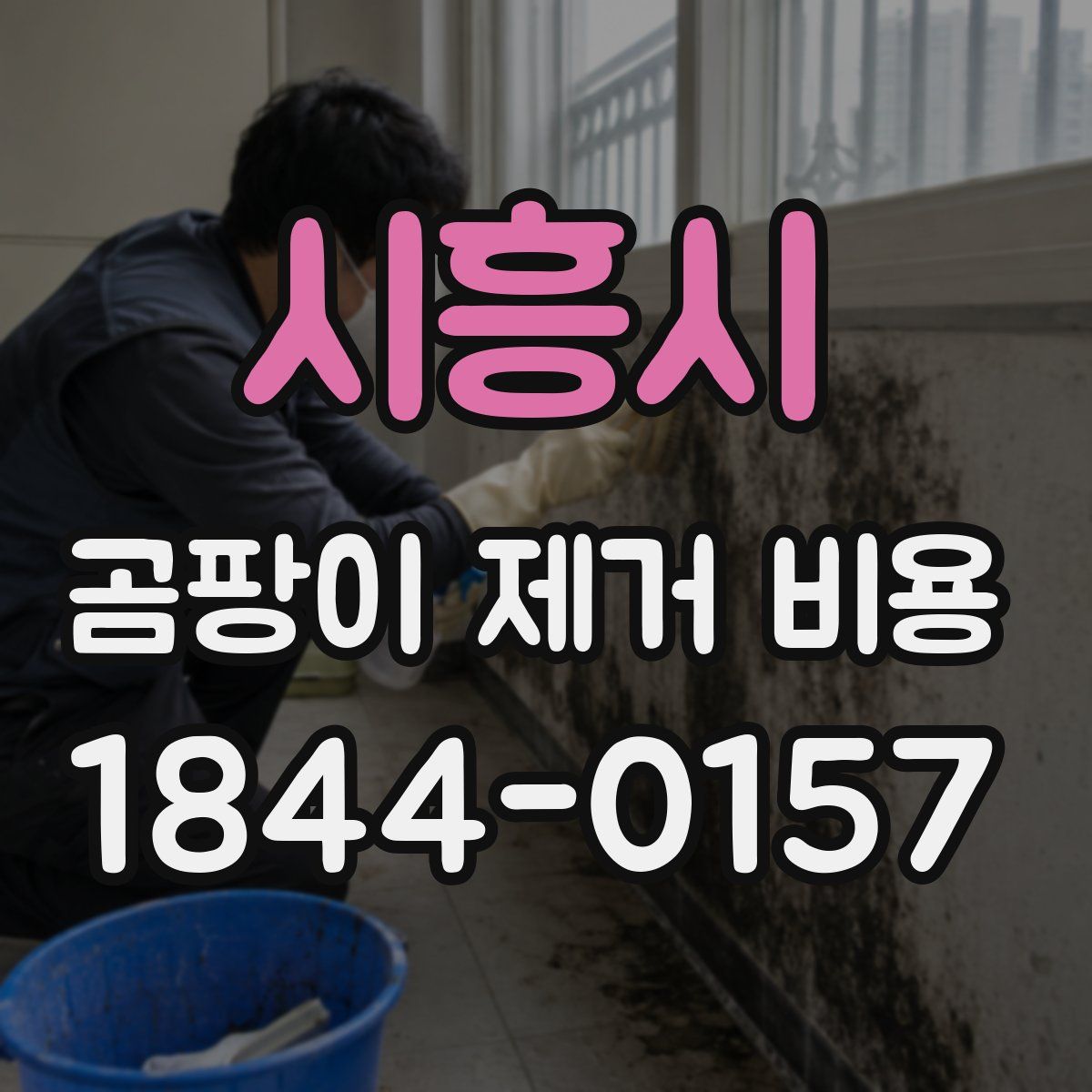 시흥시 곰팡이 제거 비용