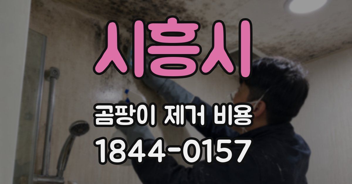 시흥시 곰팡이 제거 비용