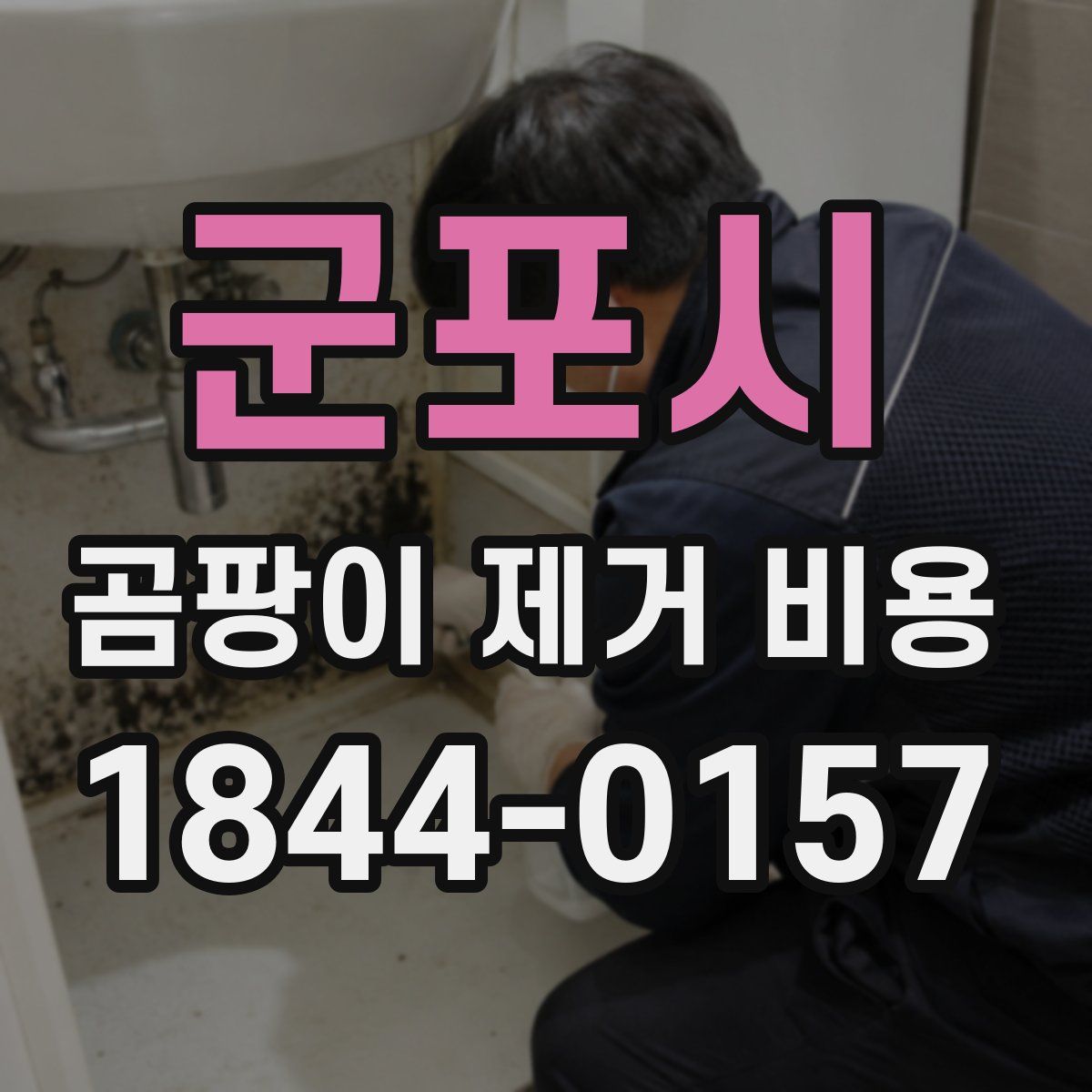 군포시 곰팡이 제거 비용