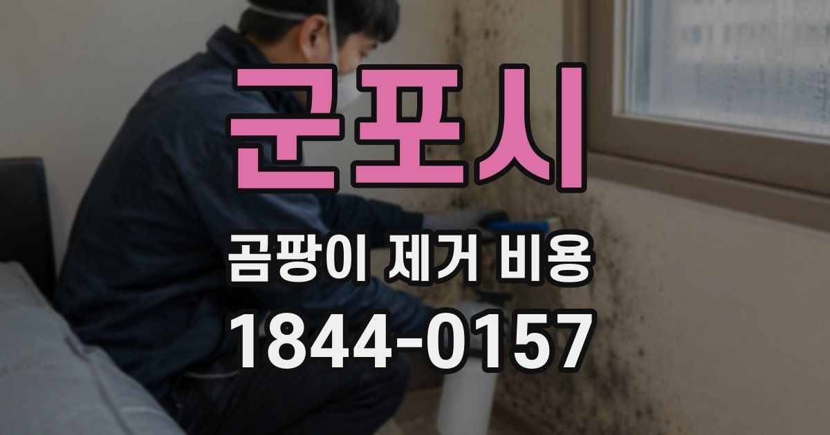 군포시 곰팡이 제거 비용