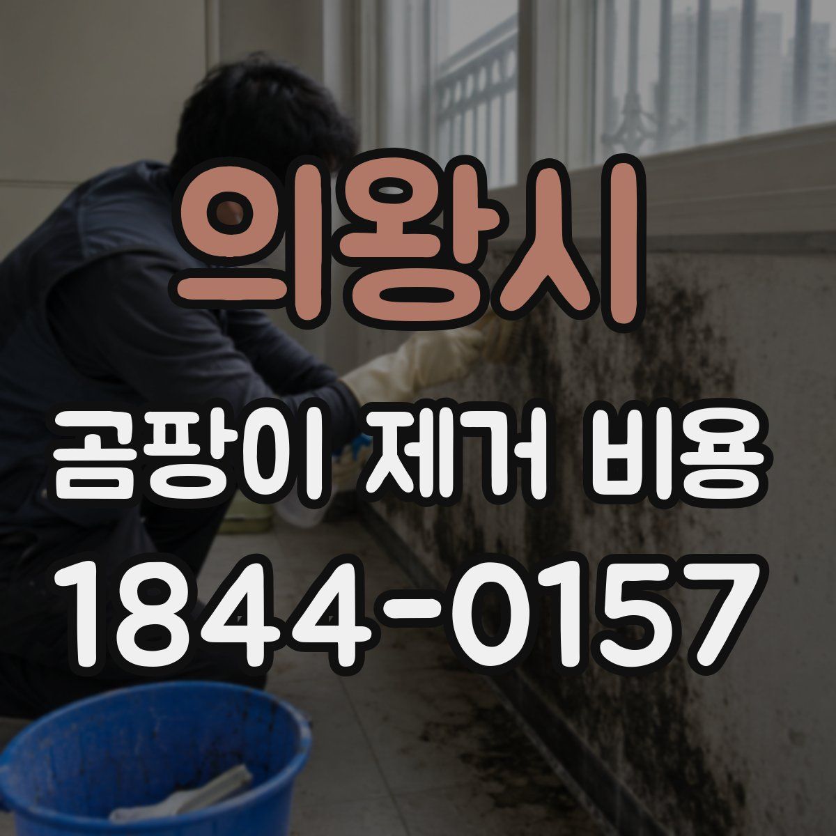 의왕시 곰팡이 제거 비용