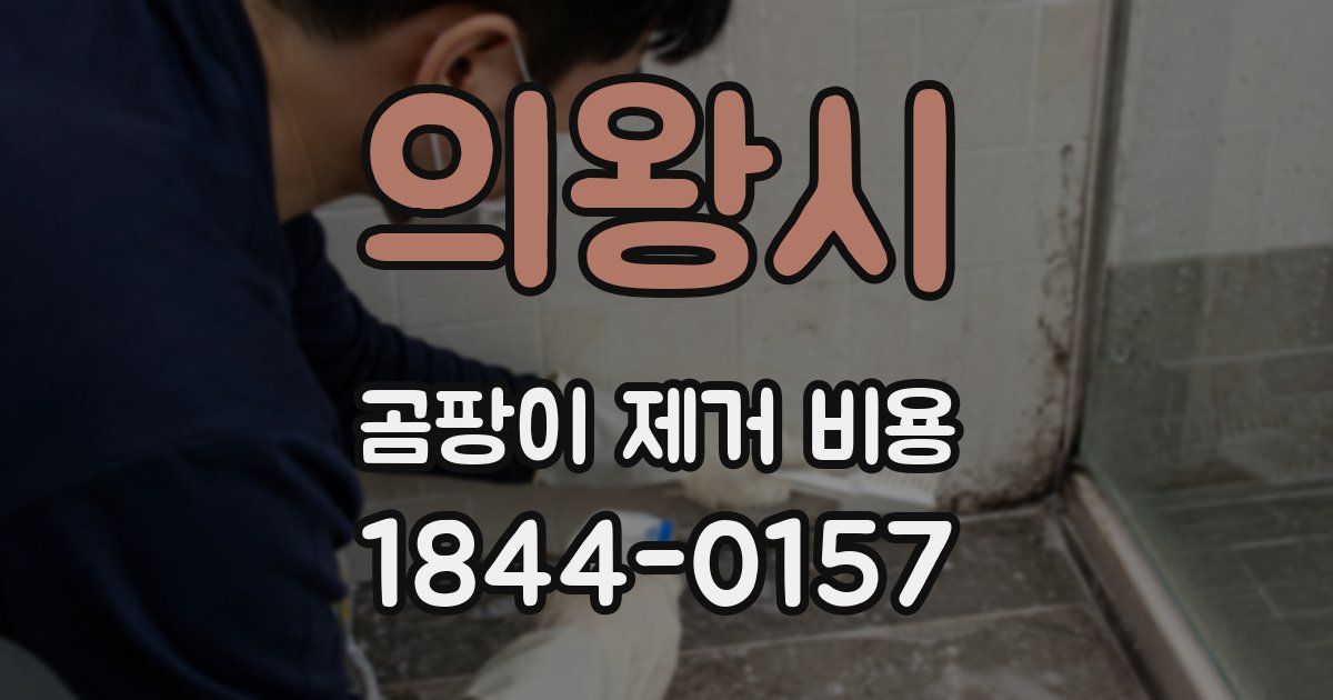 의왕시 곰팡이 제거 비용